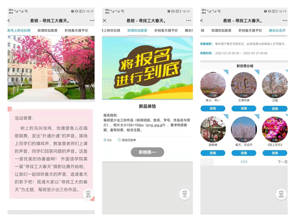 必赢766net手机版举办“寻找工大的春天”摄影比赛